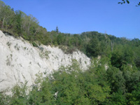 Clicca per Ingrandire